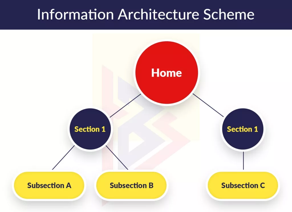Information architecture setup Information architecture setup