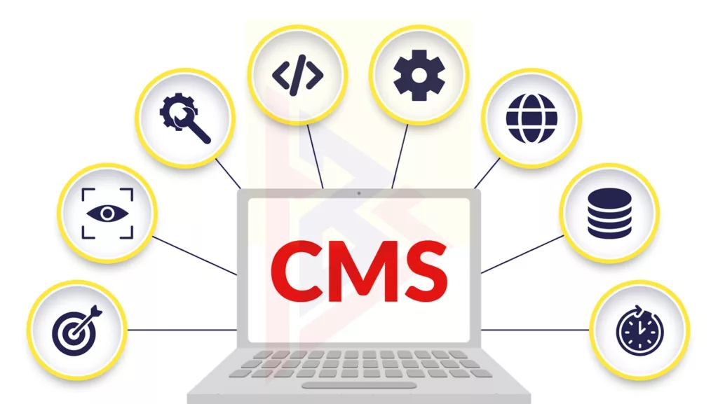 CMS types CMS types